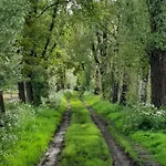 Bed & Breakfast Peelgoed