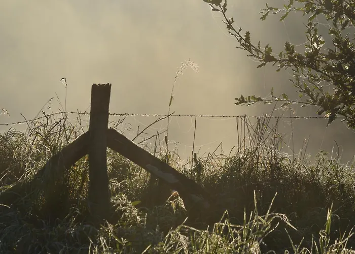 Peelgoed Oda ve Kahvaltı